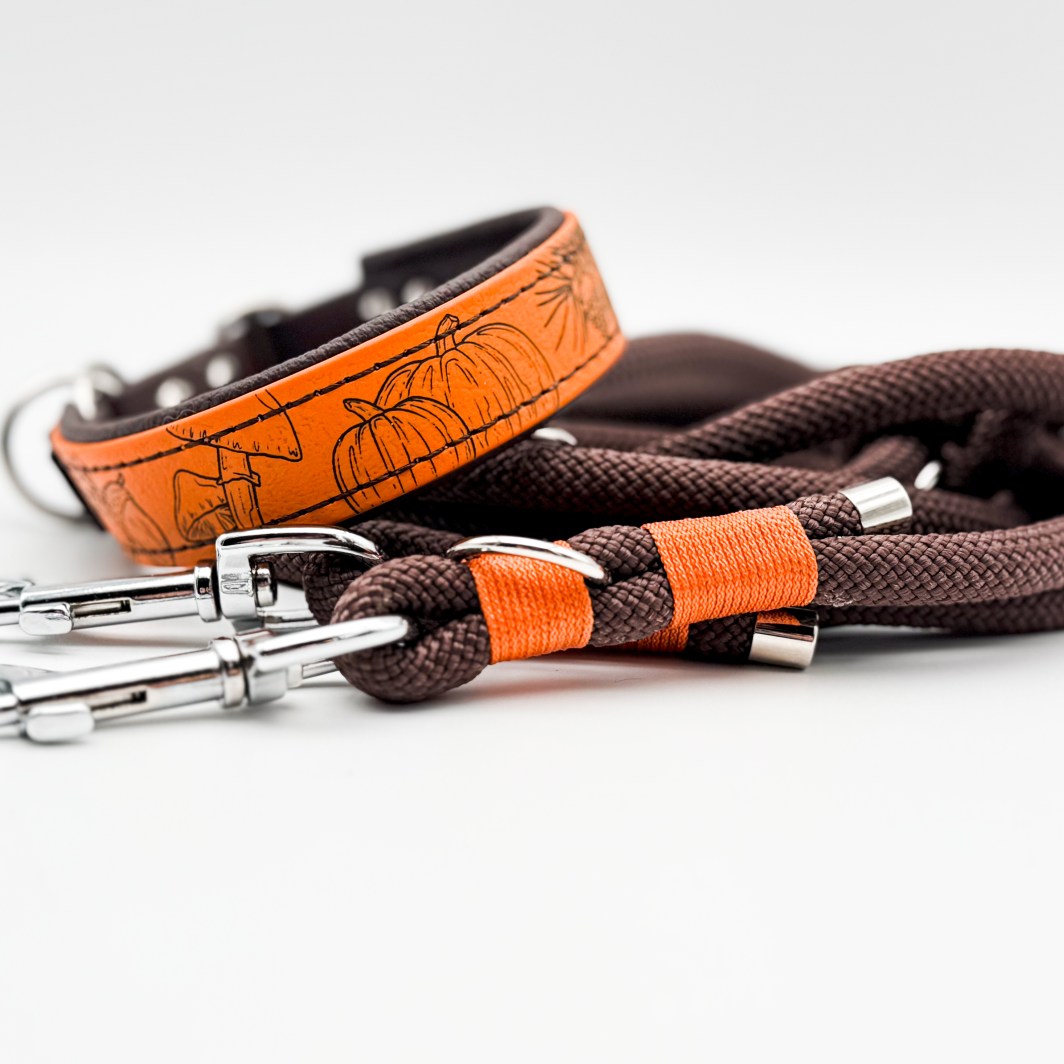 Halsband 'Autumn Leaves'