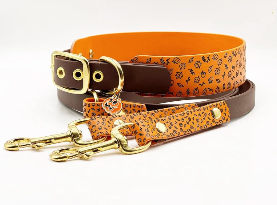 Halsband 'Pumpkin Spice' – Bild 2