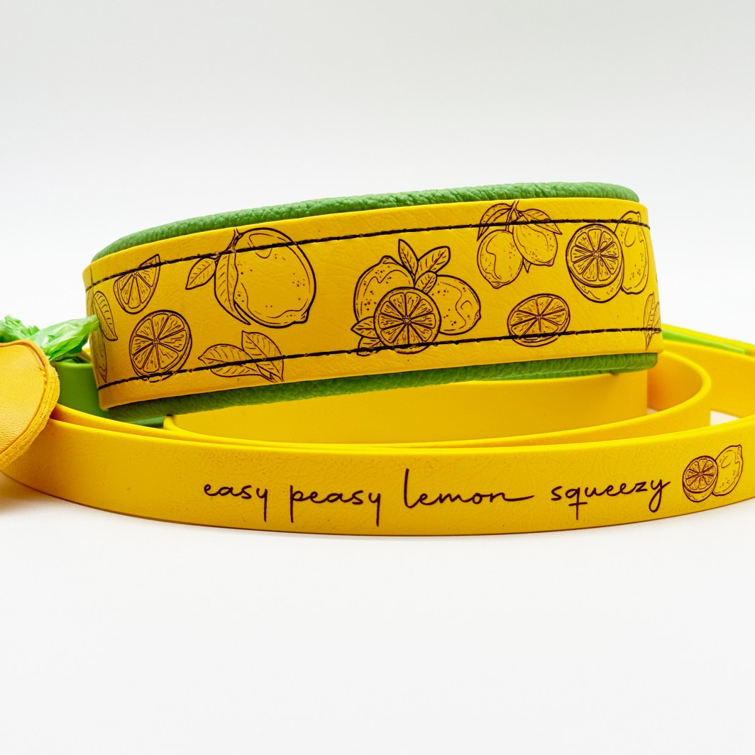 Halsband 'Lemon Squeezy'