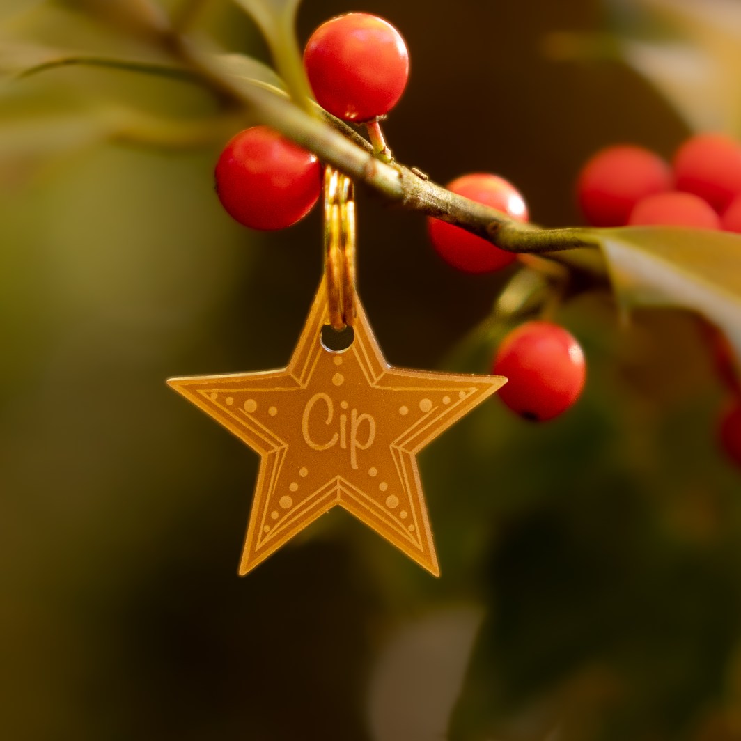 Christmas Hundemarke 'Star'