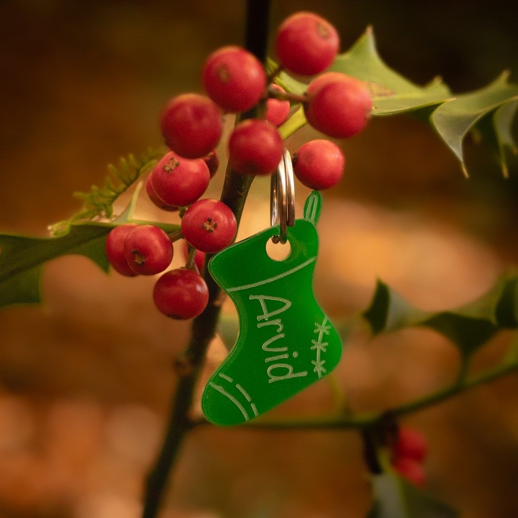Christmas Hundemarke 'Christmas Boots'