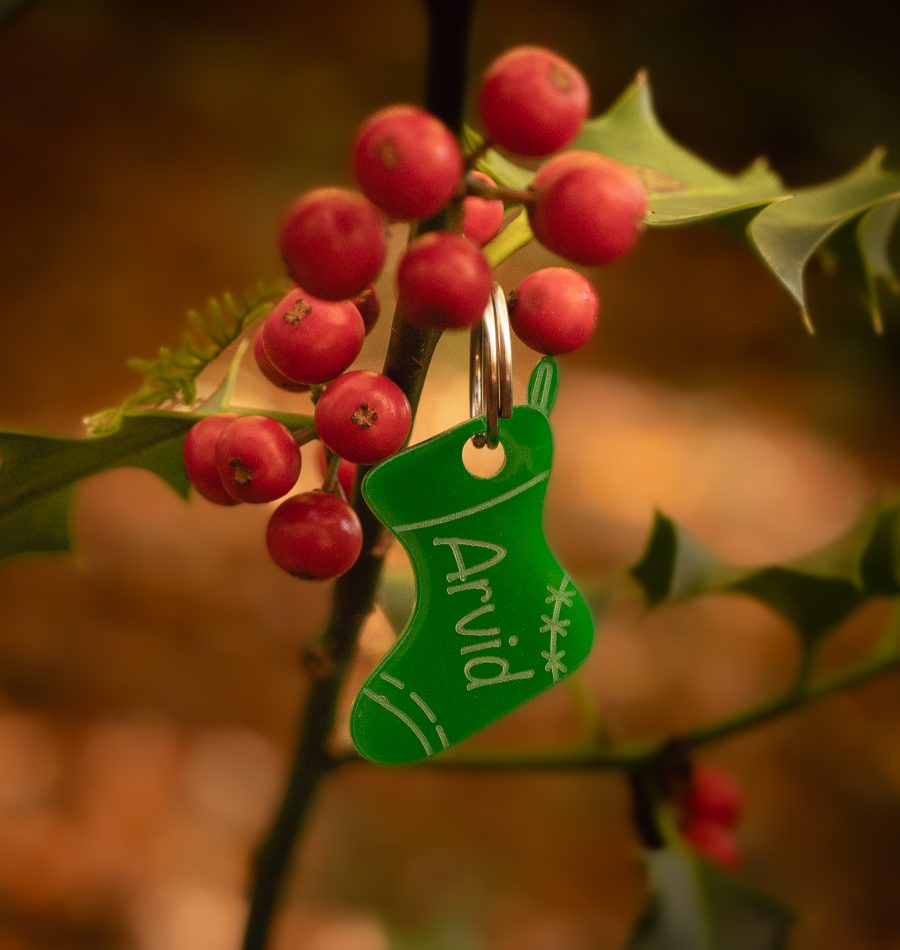 Christmas Hundemarke 'Christmas Boots'
