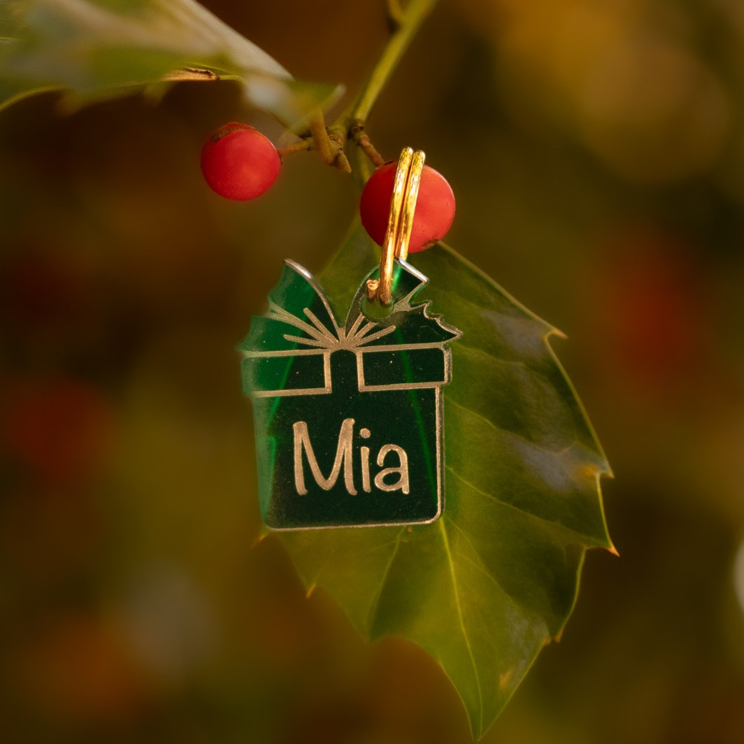 Christmas Hundemarke 'Christmas present'