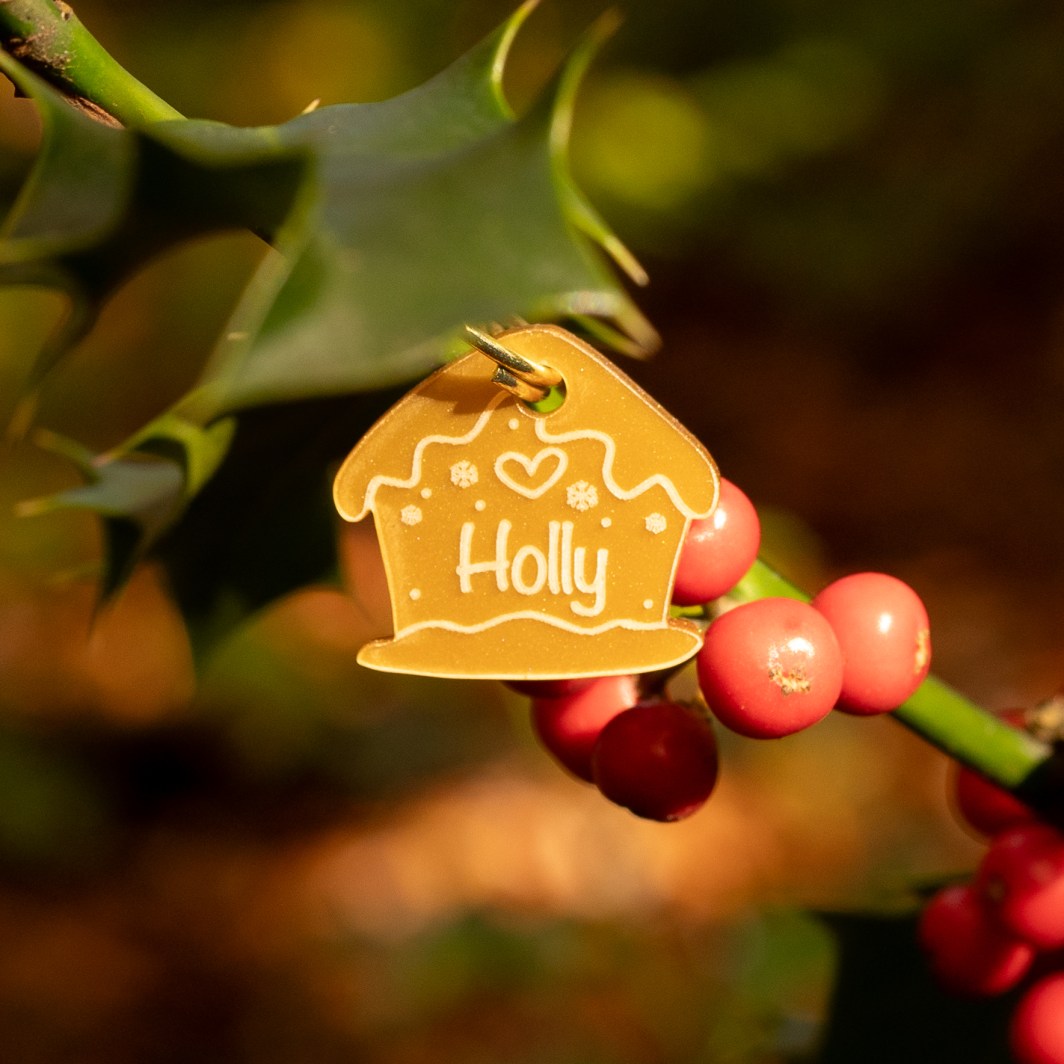 Christmas Hundemarke 'Gingerbread House'