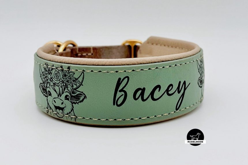 Halsband 'Hochlandrind'