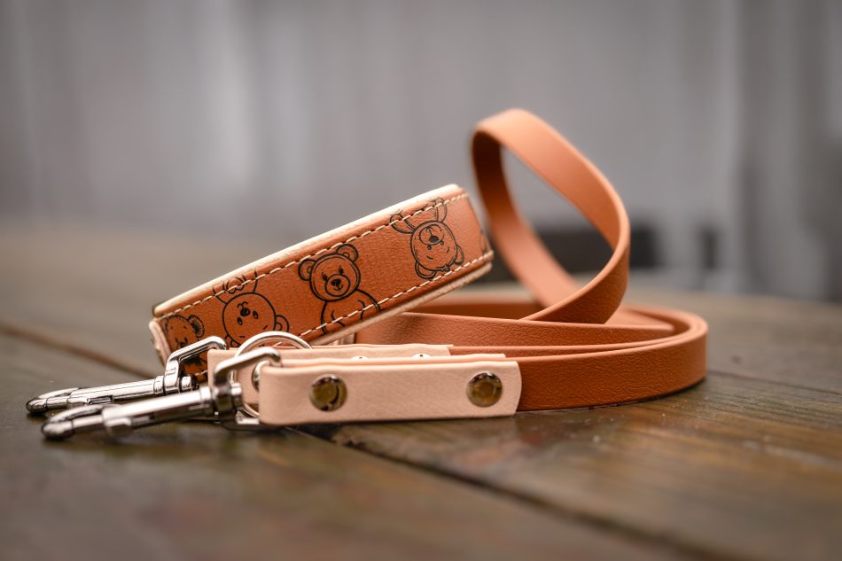 Halsband 'Teddybär'