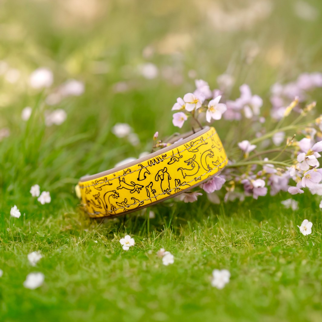 Halsband 'Die Dackel sind los'