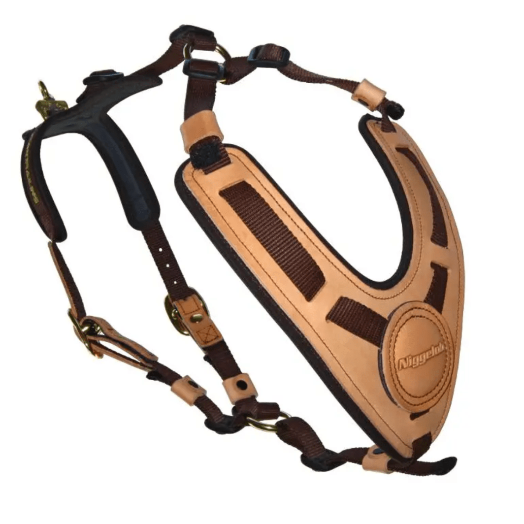 Niggeloh Geschirr Mantrailing