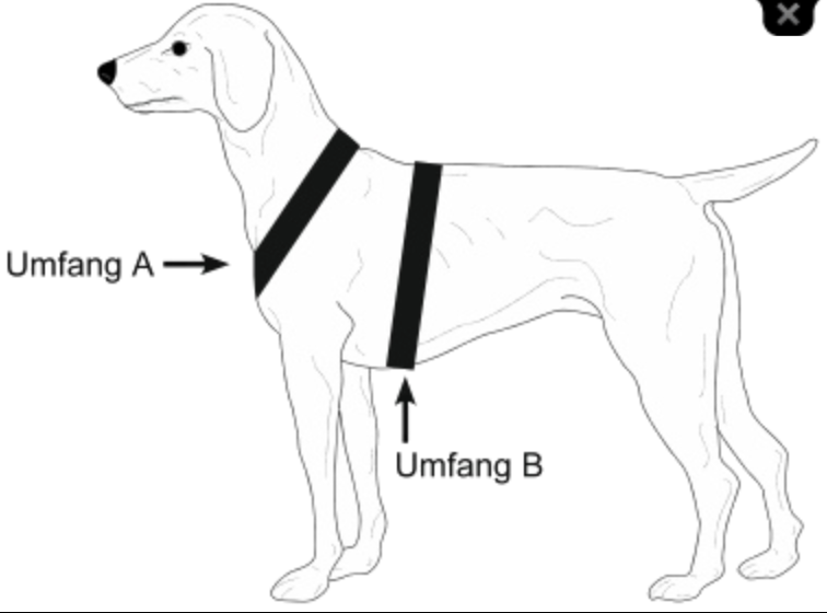 Niggeloh Geschirr Mantrailing – Bild 3