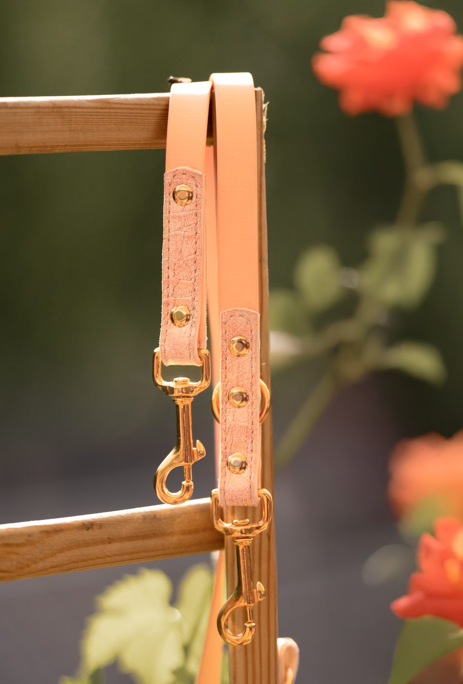 Halsband & Leine "Amalfi" (Biothane- Lederhalsband) – Bild 2