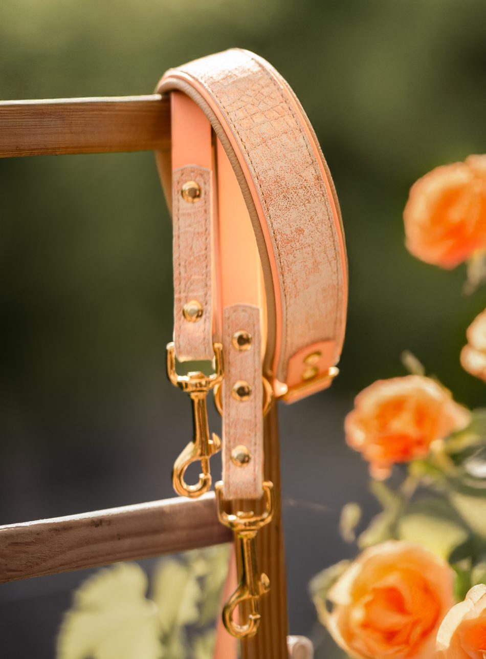 Halsband & Leine "Amalfi" (Biothane- Lederhalsband)