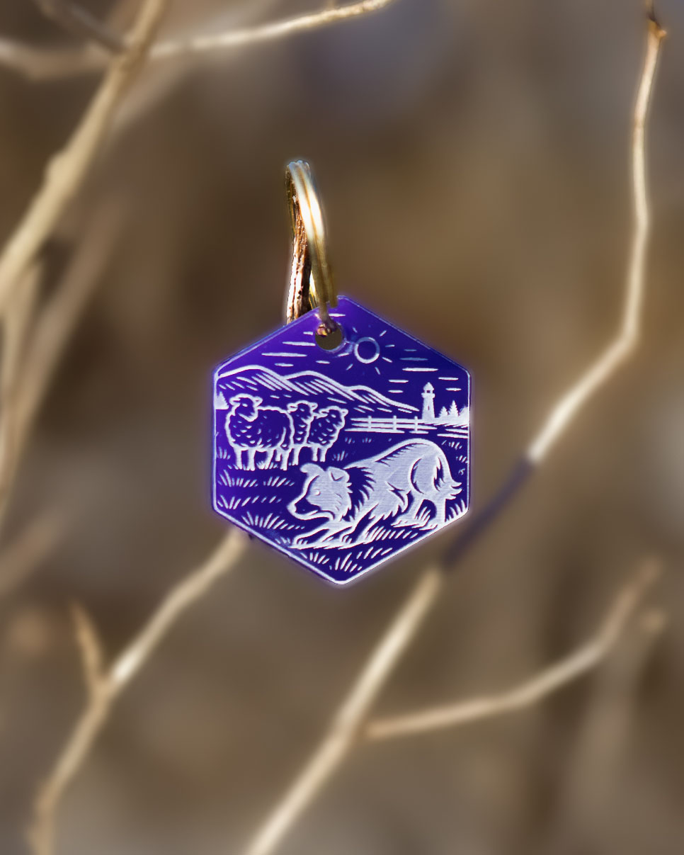 Hundemarke 'Border Collie'