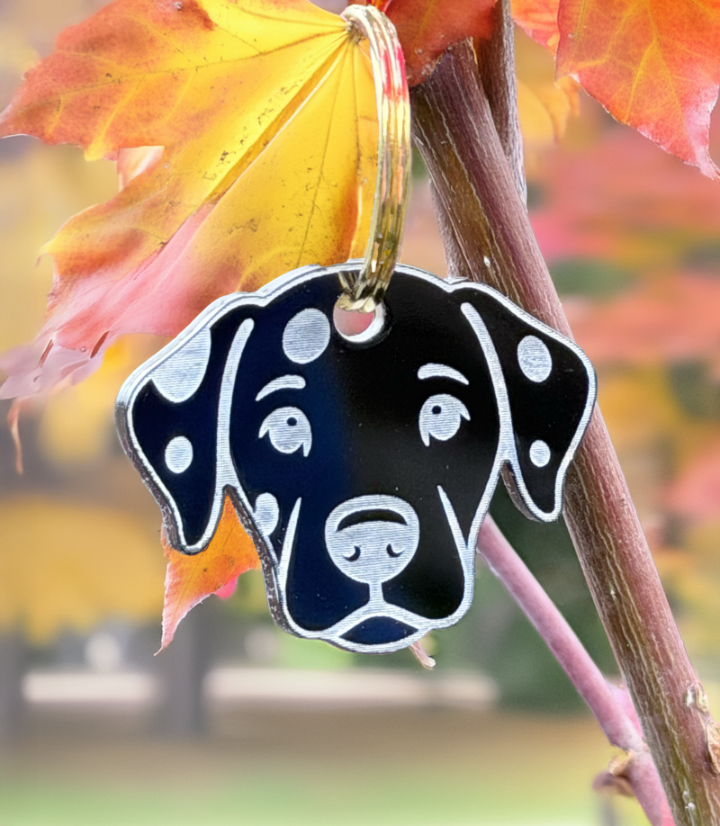 Hundemarke 'Dalmatiner'