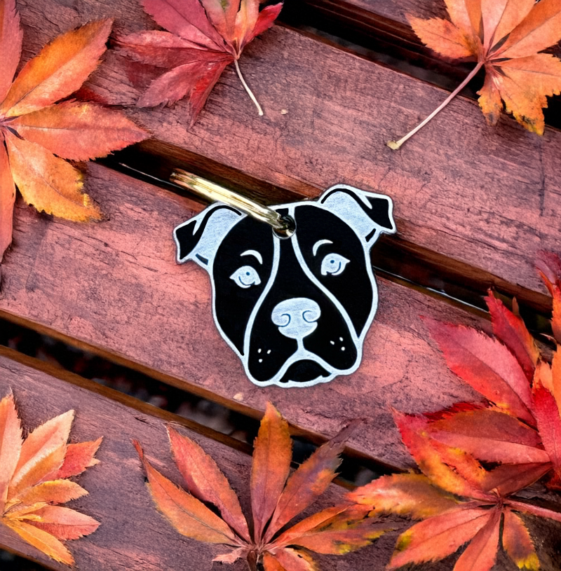 Hundemarke 'Pitbull'