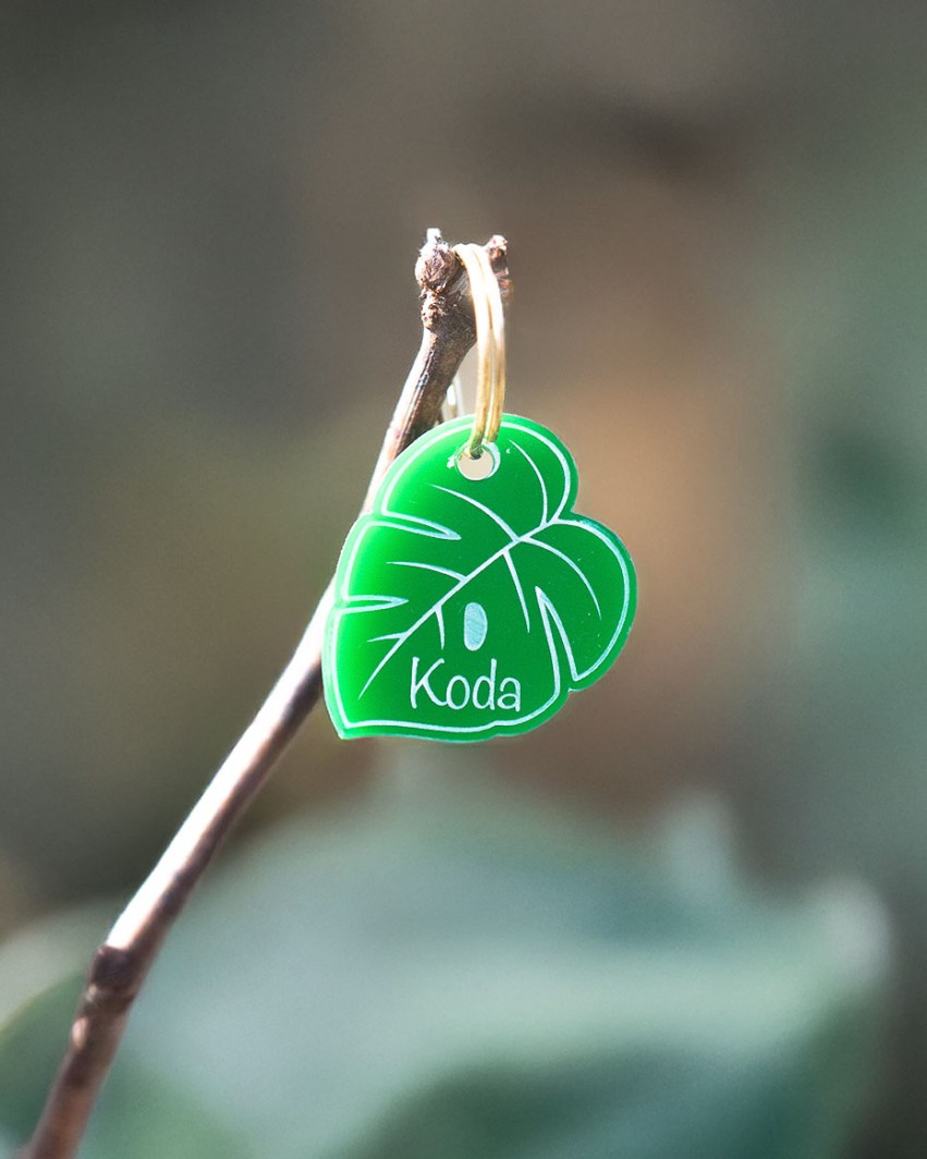 Hundemarke 'Monstera'