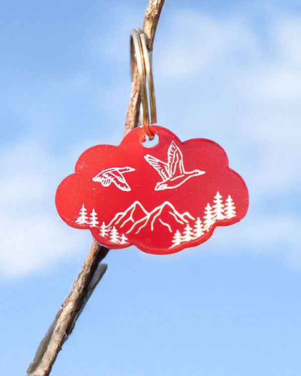 Hundemarke 'Flugenten'